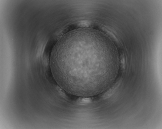 X0000115330665200911091246