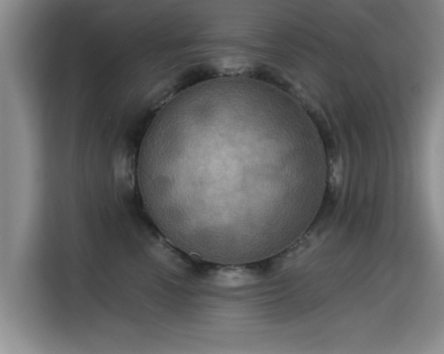 X0000115330666200911091246