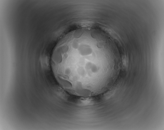X0000115330667200911091246