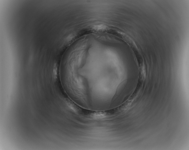 X0000115330668200911091246