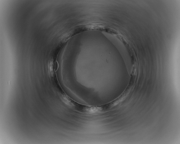 X0000115330670200911091246