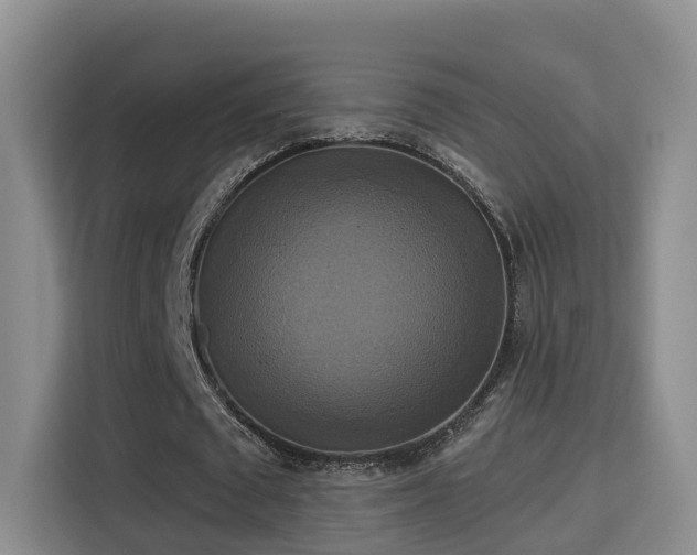 X0000115330673200911091246