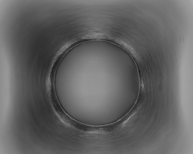 X0000115330674200911091246