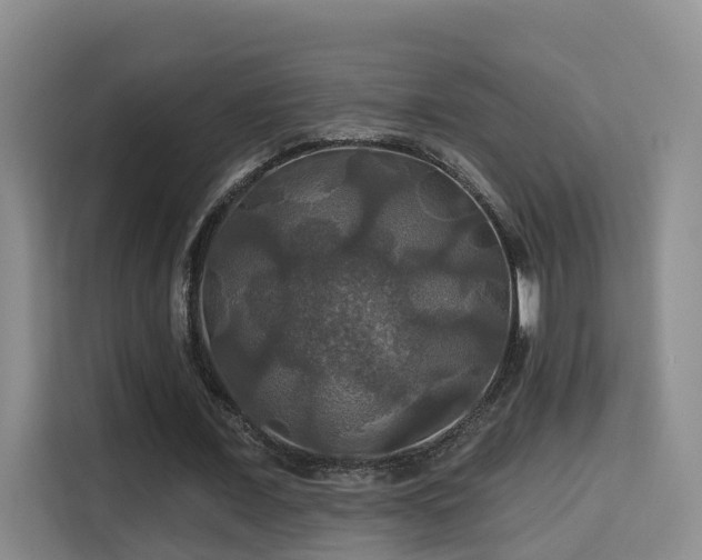 X0000115330675200911091246