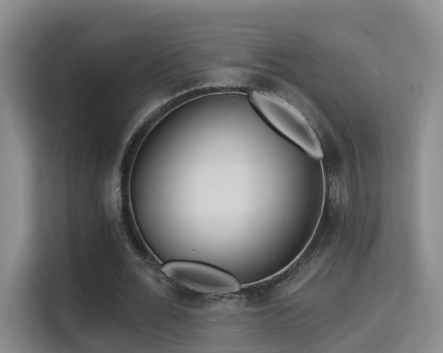 X0000115330676200911091245