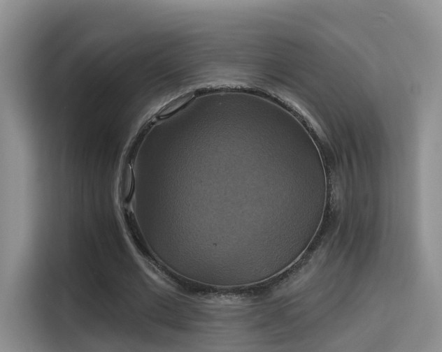 X0000115330677200911091245