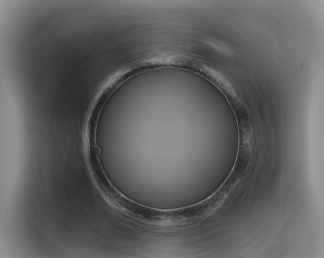 X0000115330678200911091245