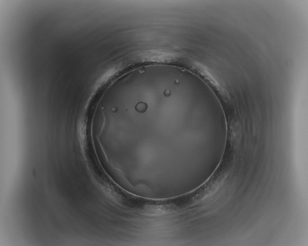X0000115330679200911091245