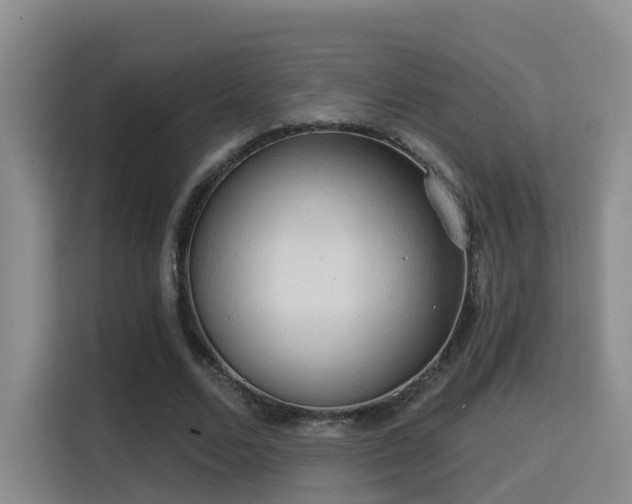 X0000115330680200911091245