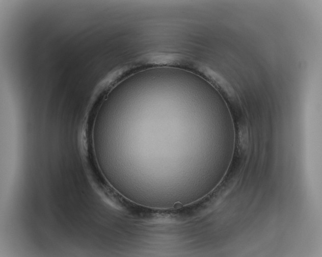 X0000115330682200911091245