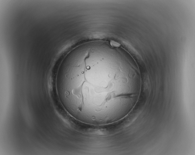 X0000115330683200911091245