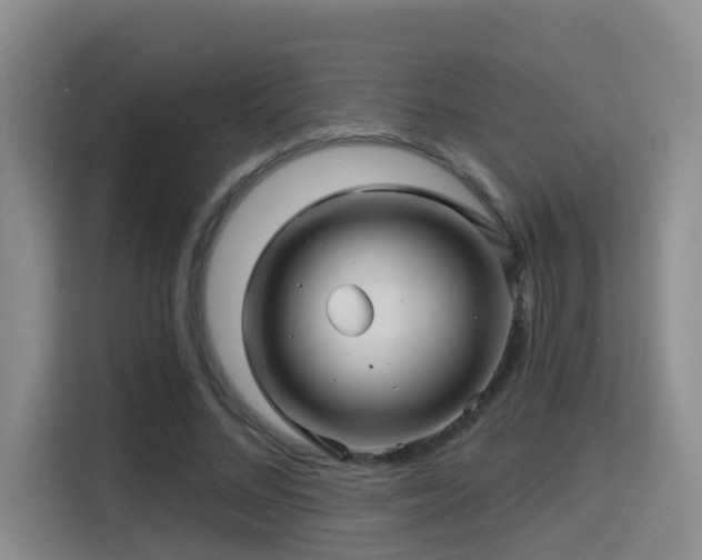 X0000115330684200911091245