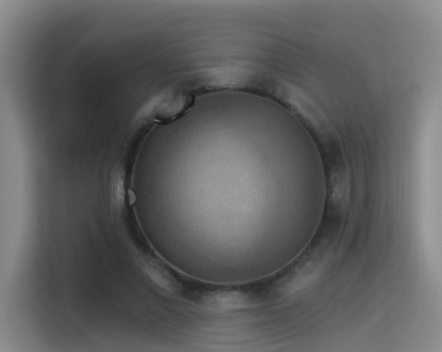 X0000115330685200911091245