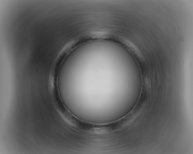 X0000115330686200911091245