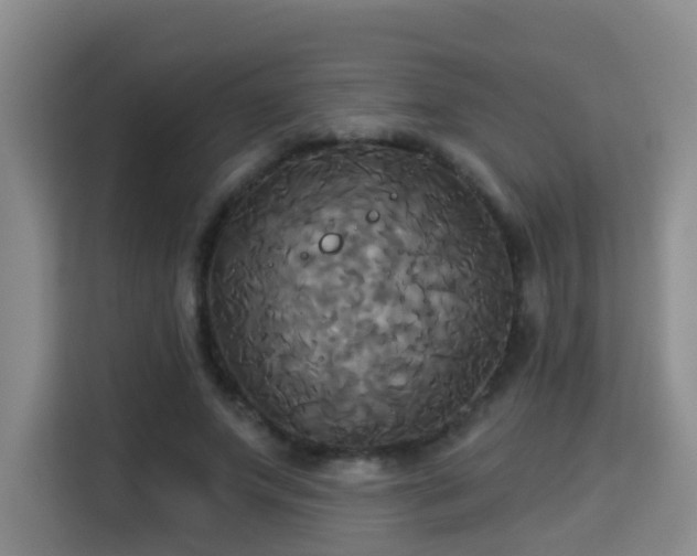 X0000115330687200911091245