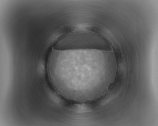 X0000115330688200911091245