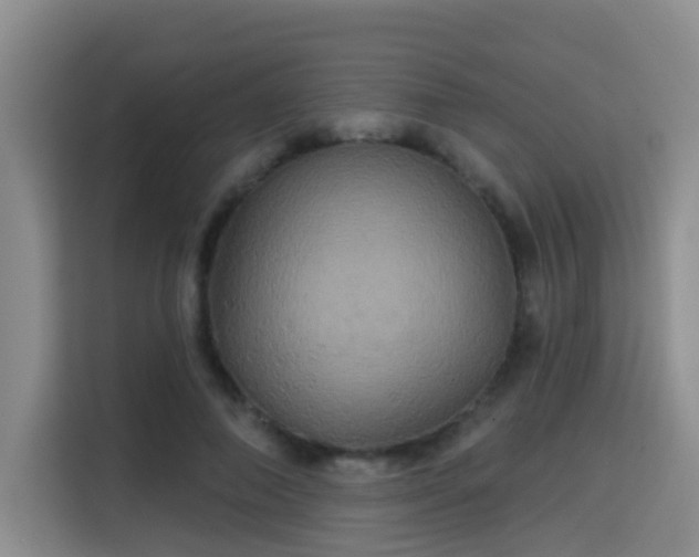 X0000115330690200911091245