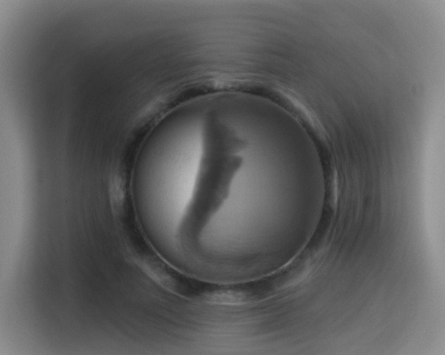 X0000115330691200911091245