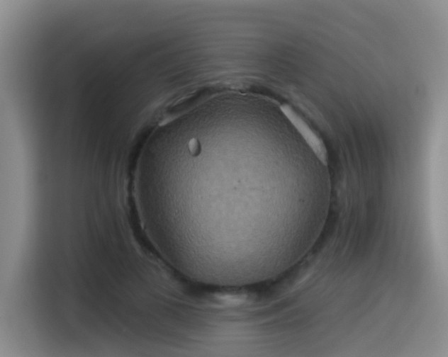 X0000115330693200911091245