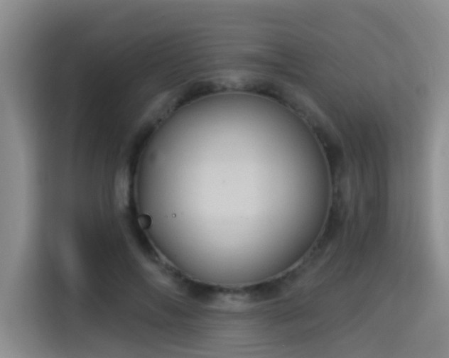 X0000115330694200911091245