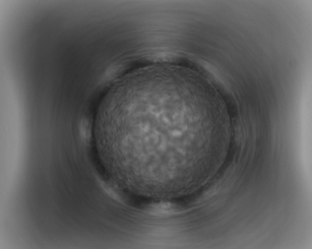 X0000115330695200911091245