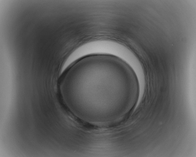 X0000115330696200911091245