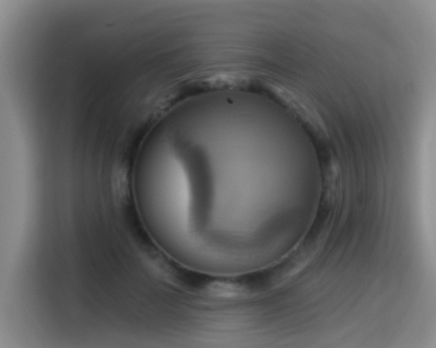 X0000115330699200911091245