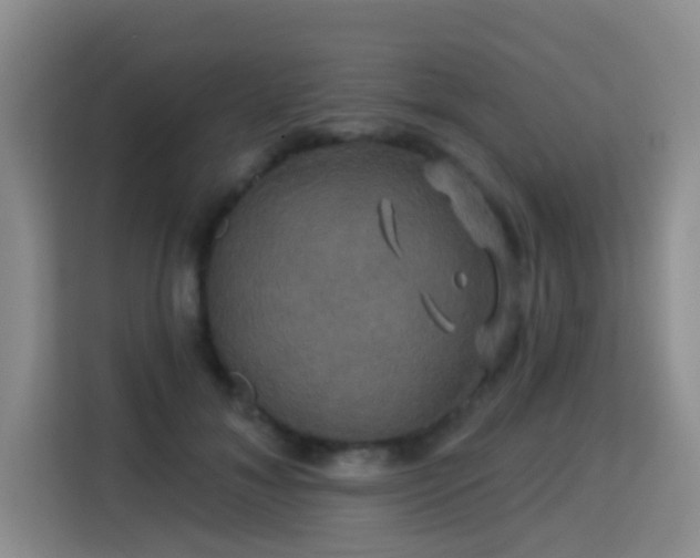 X0000115330700200911091245