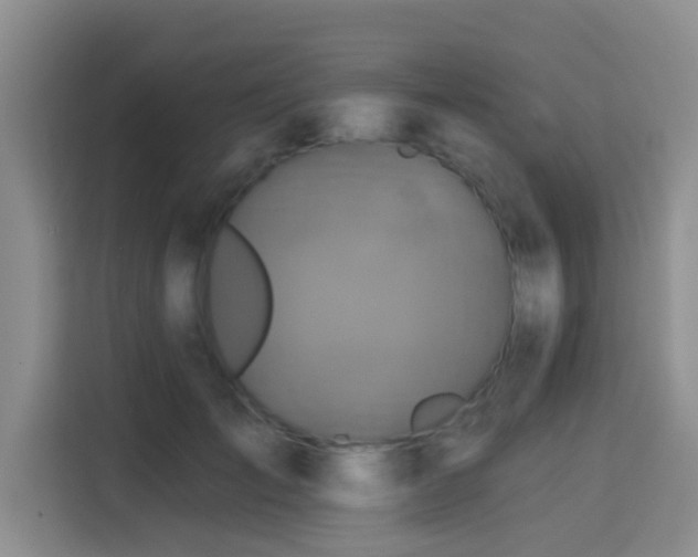 X0000115330701200911091245