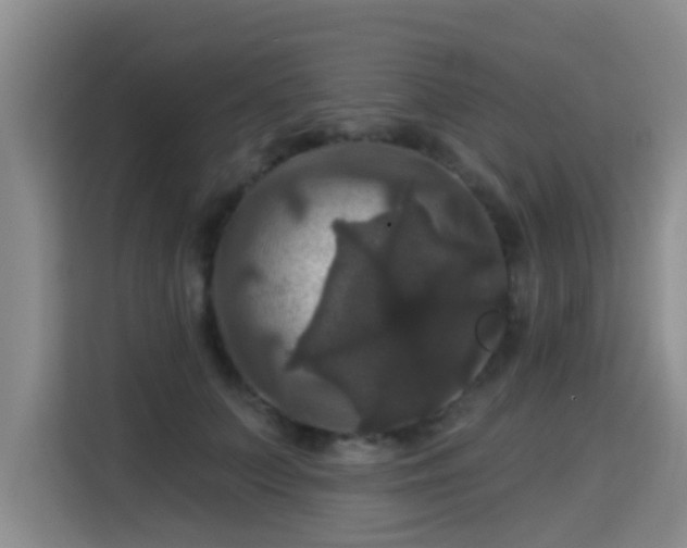 X0000115330703200911091245