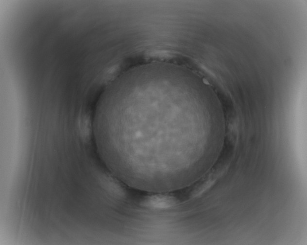 X0000115330708200911091245