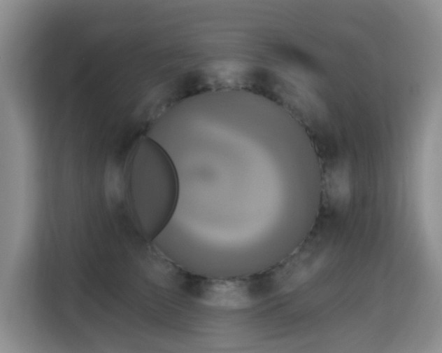 X0000115330709200911091245