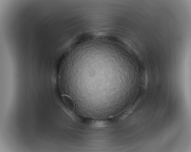 X0000115330710200911091245
