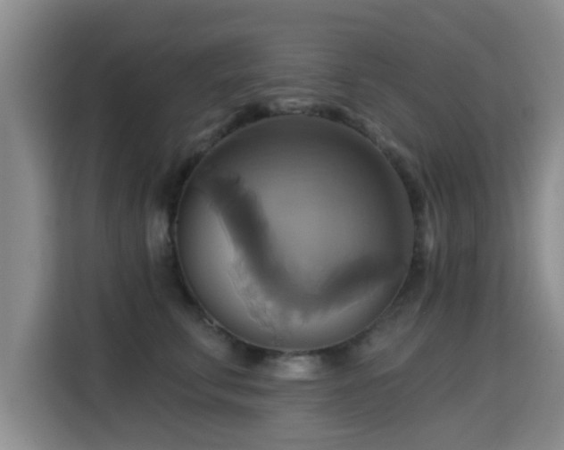 X0000115330711200911091245