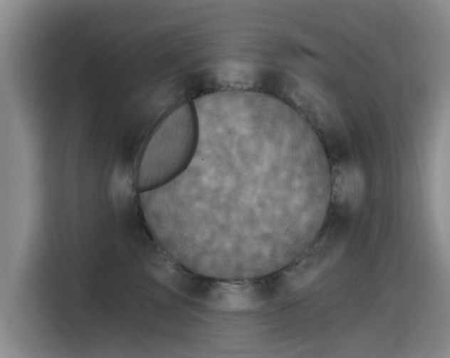 X0000115330713200911091245