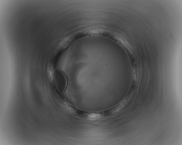X0000115330718200911091245