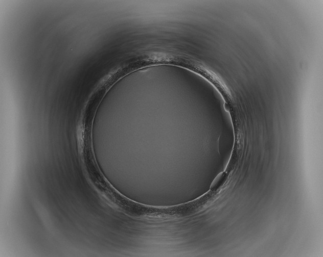 X0000115330722200911091244