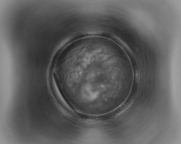 X0000115330725200911091244