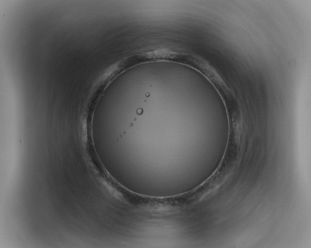 X0000115330729200911091244