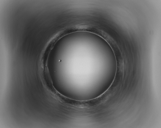 X0000115330731200911091244