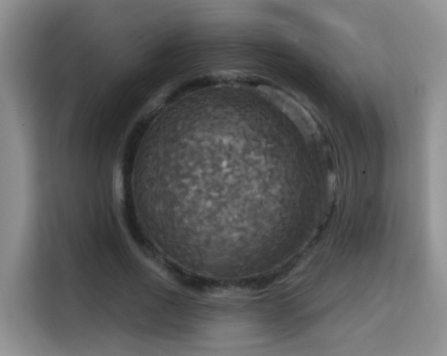 X0000115330734200911091244