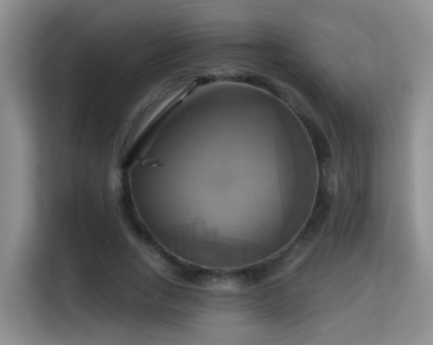 X0000115330735200911091244