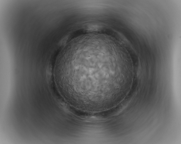 X0000115330737200911091245