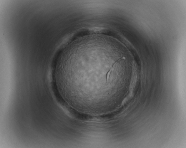 X0000115330738200911091245
