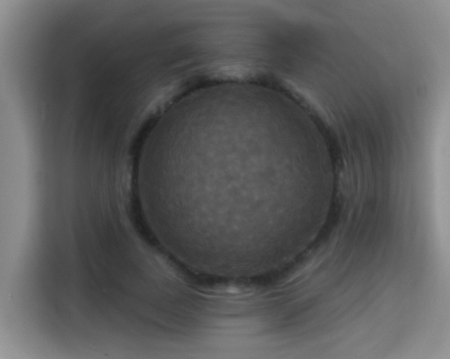X0000115330739200911091245