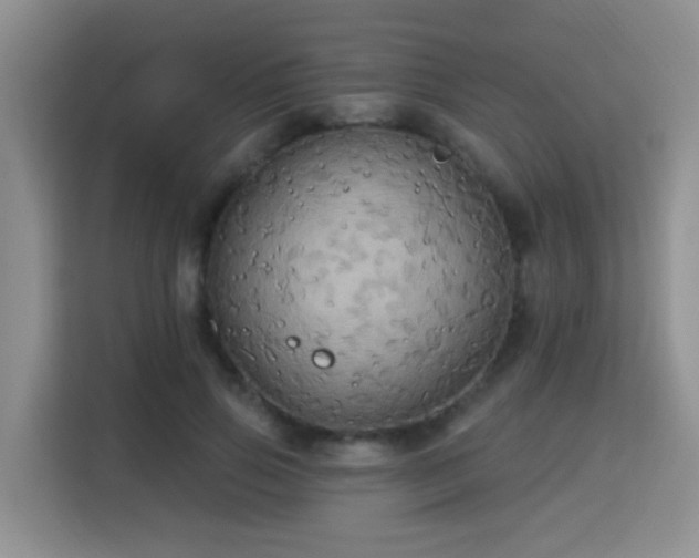 X0000115330741200911091245