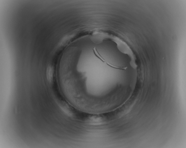 X0000115330742200911091245