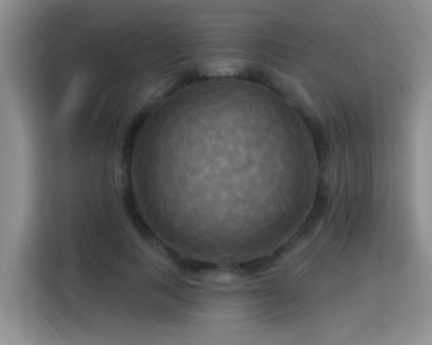X0000115330743200911091245