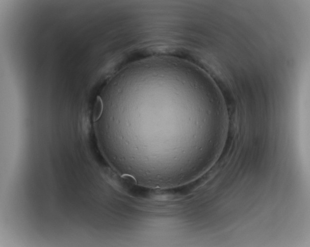 X0000115330746200911091245
