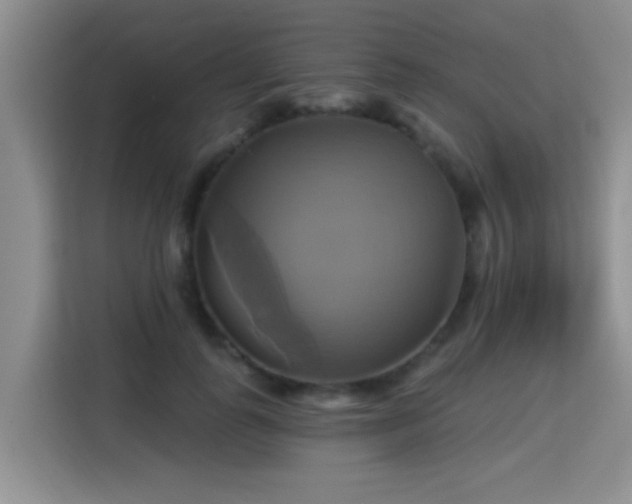X0000115330747200911091245